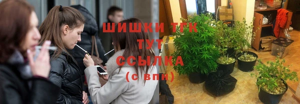прущие грибы Лагань