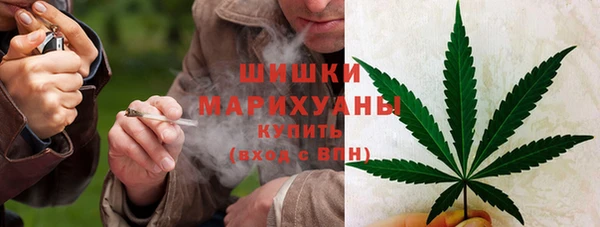 прущие грибы Лагань