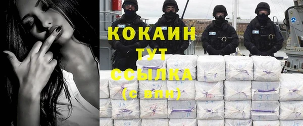 прущие грибы Лагань